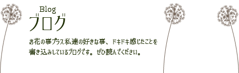 ブログ